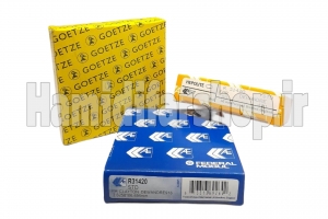 رینگ پمپ باد 950